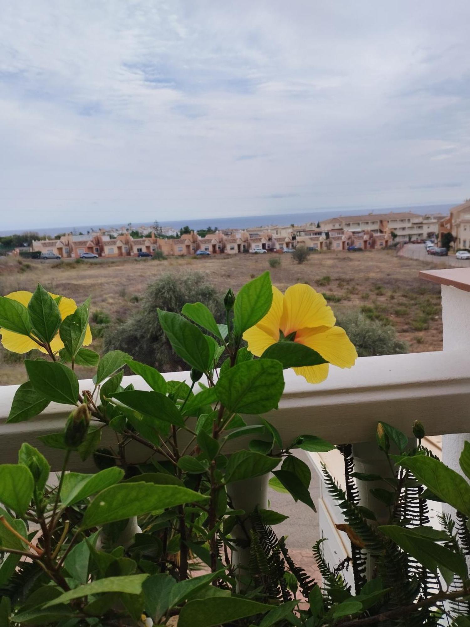 Casa Carino Apartment Torrox Exterior photo